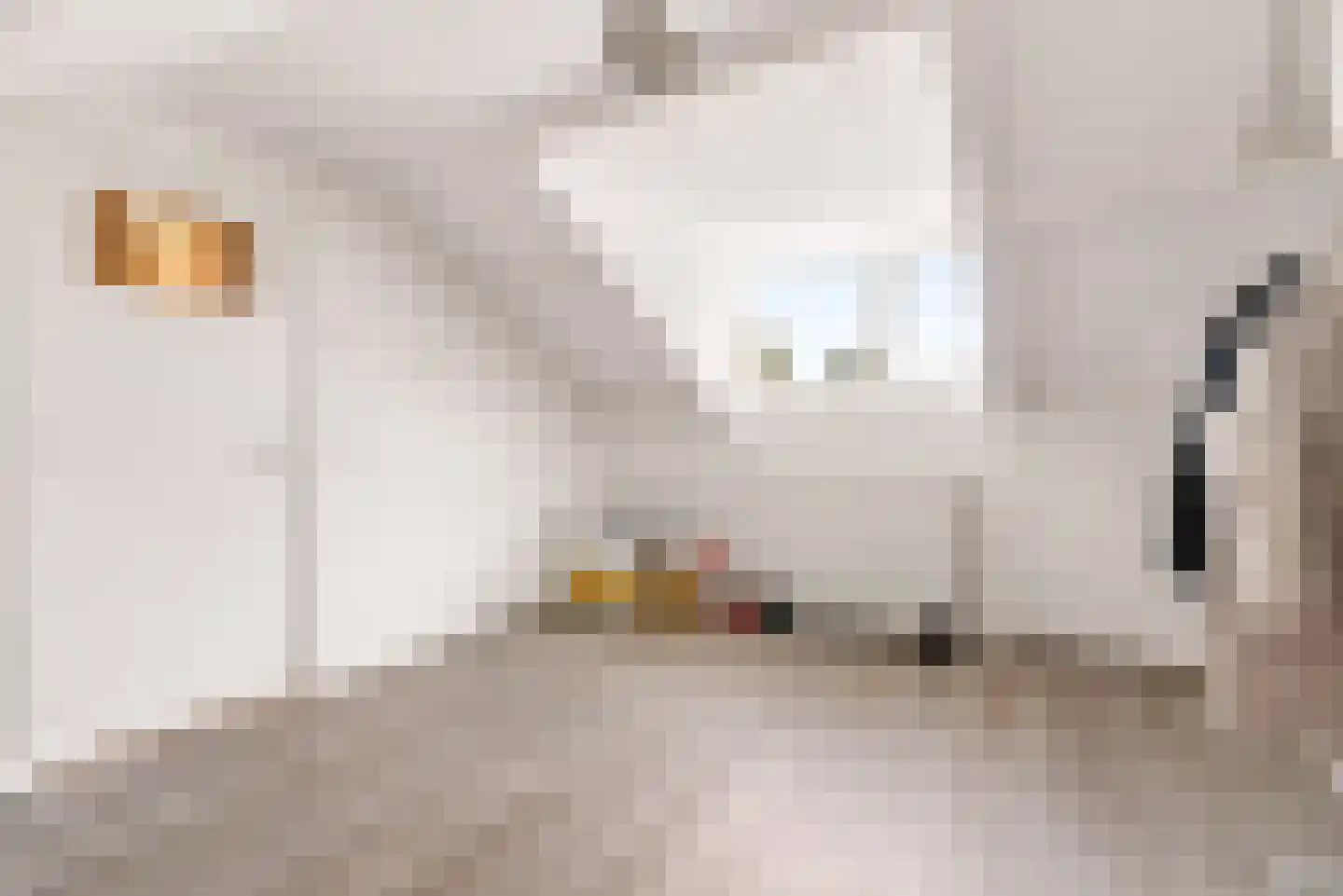 Herpenstraat 85 Uden thumbnail 36