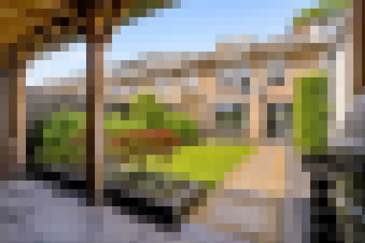 Herpenstraat 85 Uden thumbnail 4
