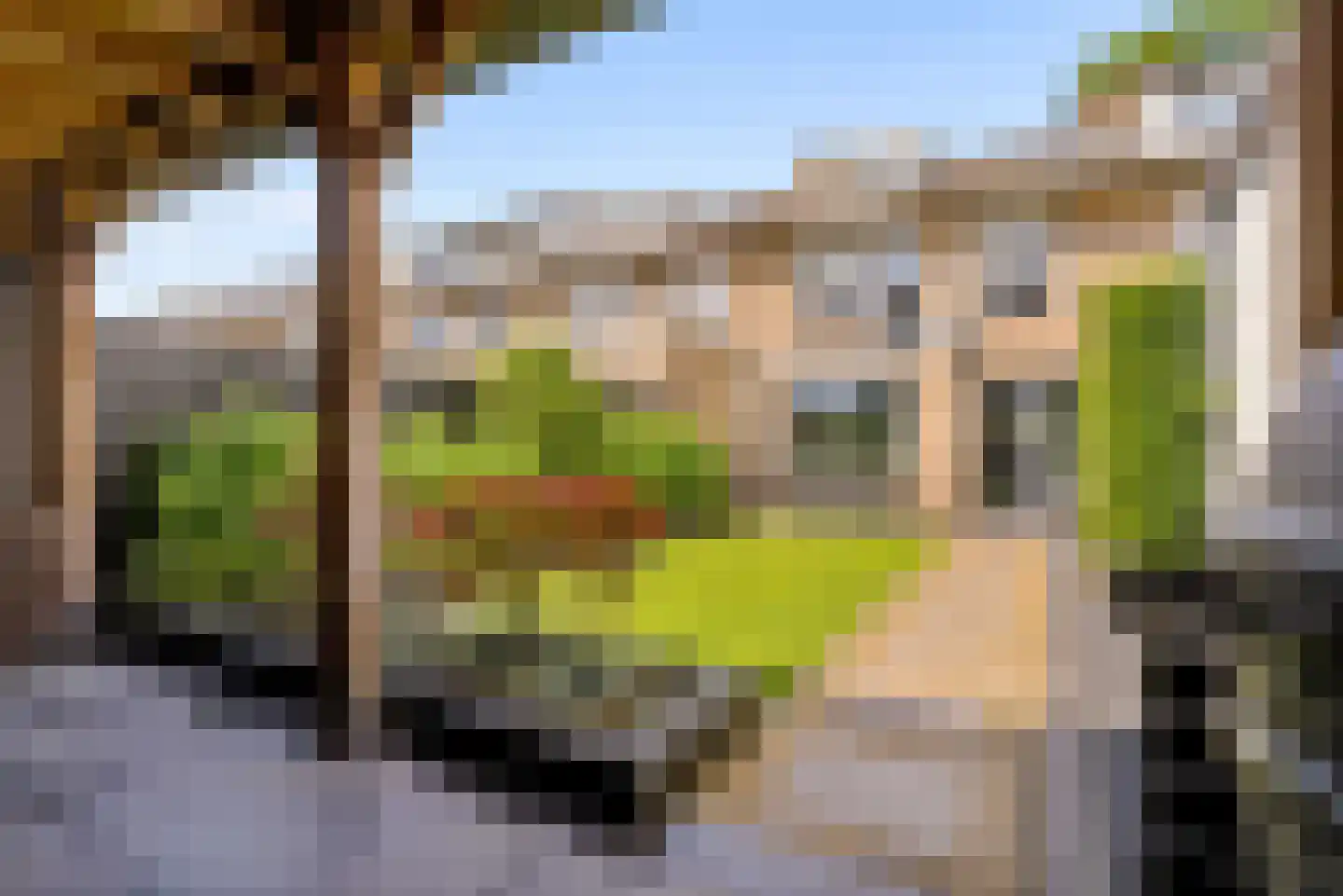 Herpenstraat 85 Uden thumbnail 4