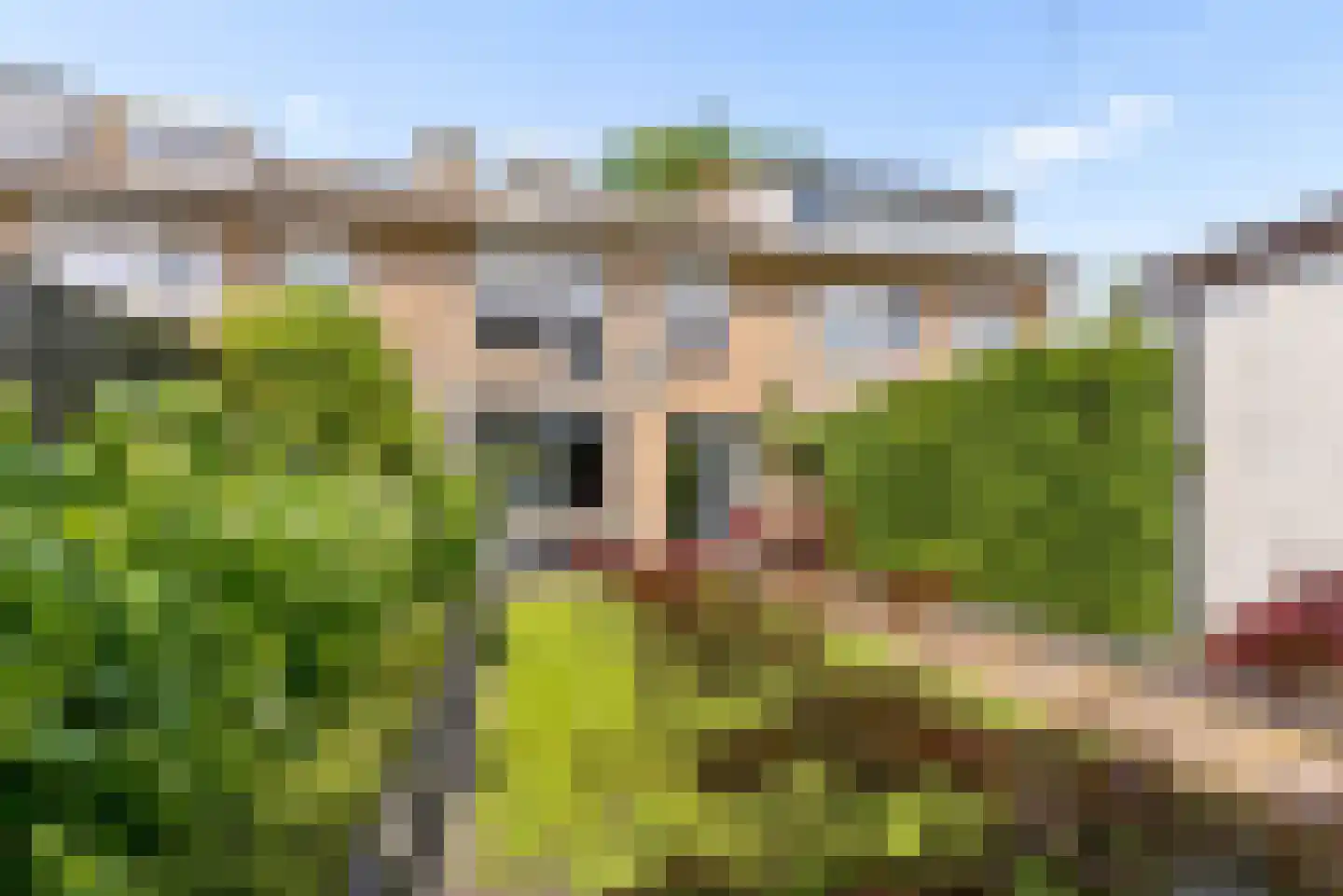 Herpenstraat 85 Uden thumbnail 41