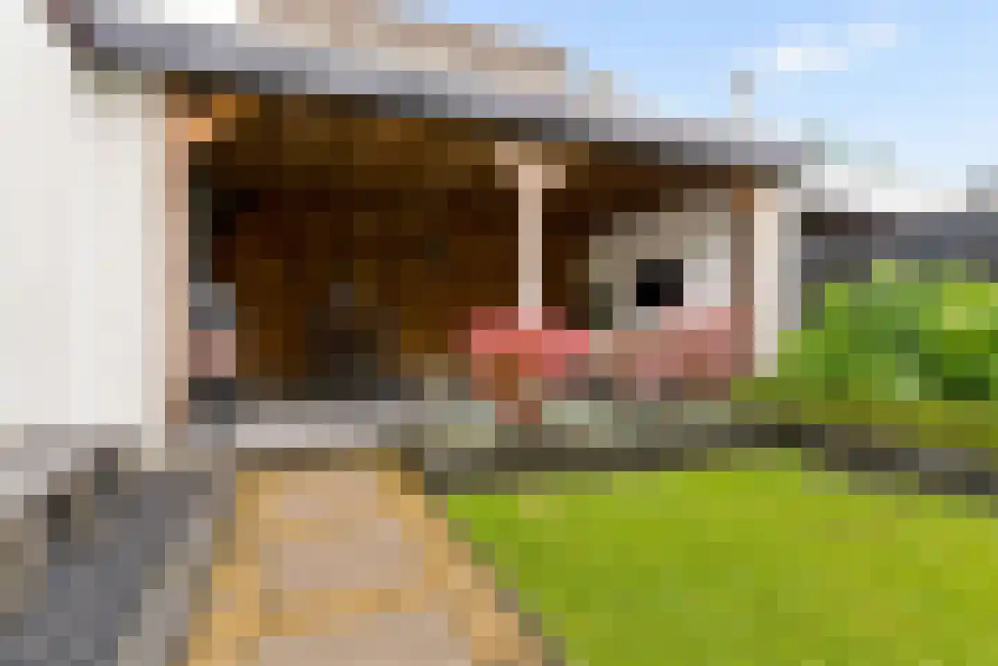 Herpenstraat 85 Uden thumbnail 42