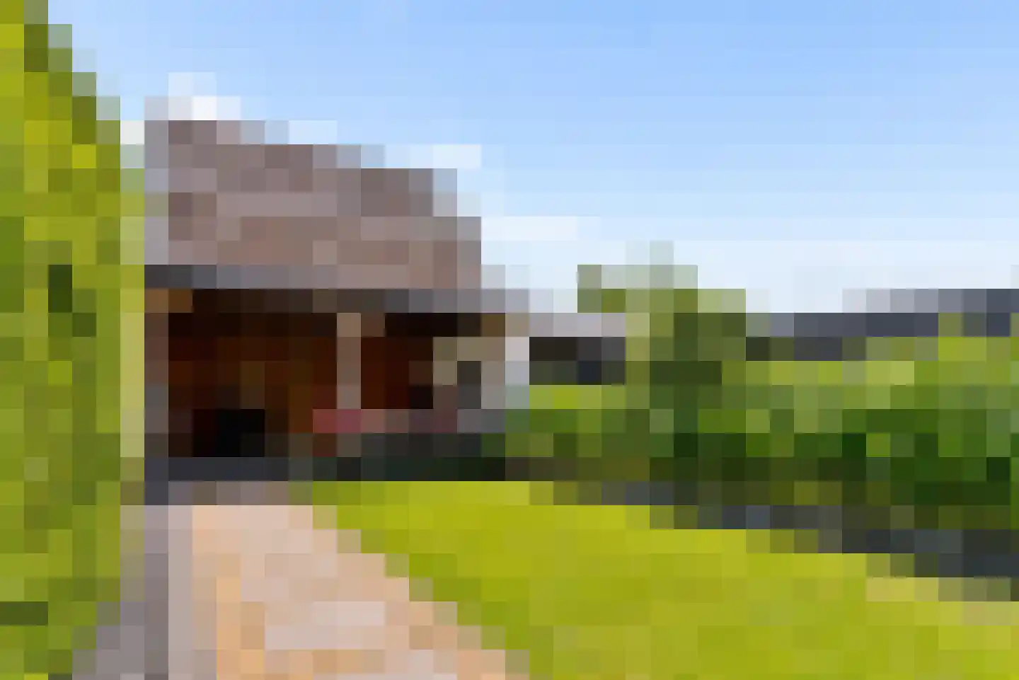 Herpenstraat 85 Uden thumbnail 45