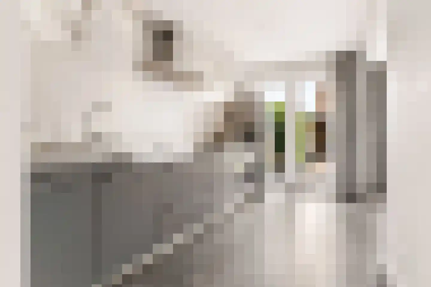 Herpenstraat 85 Uden thumbnail 7