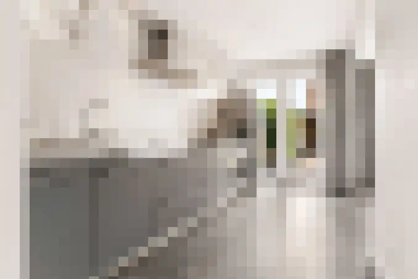 Herpenstraat 85 Uden thumbnail 7