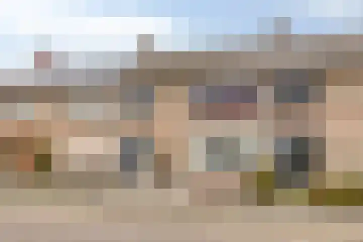 Herpenstraat 96 Uden thumbnail 5