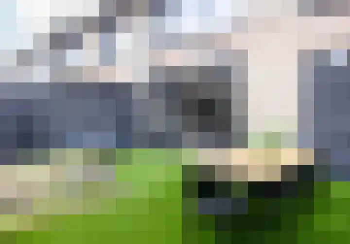 Herpenstraat 98 Uden thumbnail 31