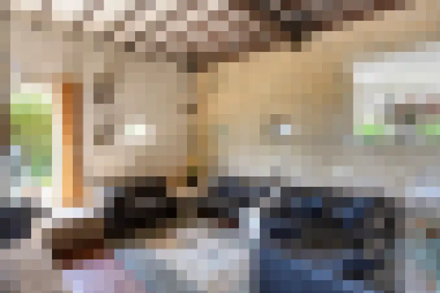Herptseweg 2 Herpt thumbnail 12