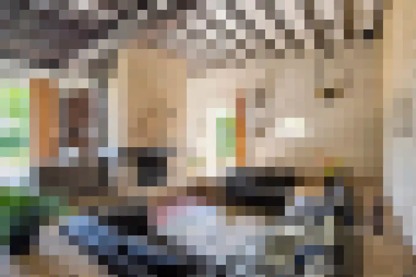 Herptseweg 2 Herpt thumbnail 13