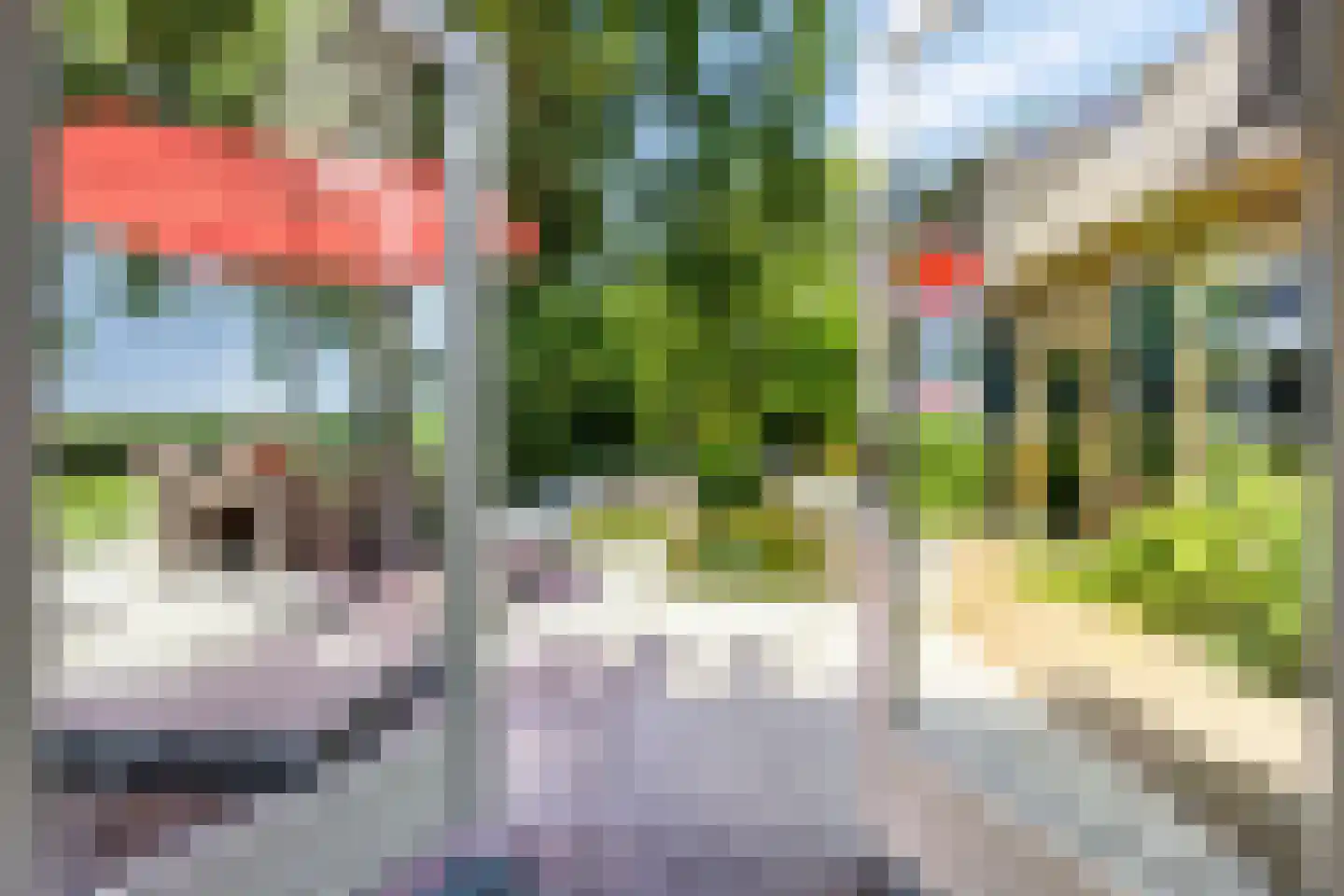 Herptseweg 2 Herpt thumbnail 23