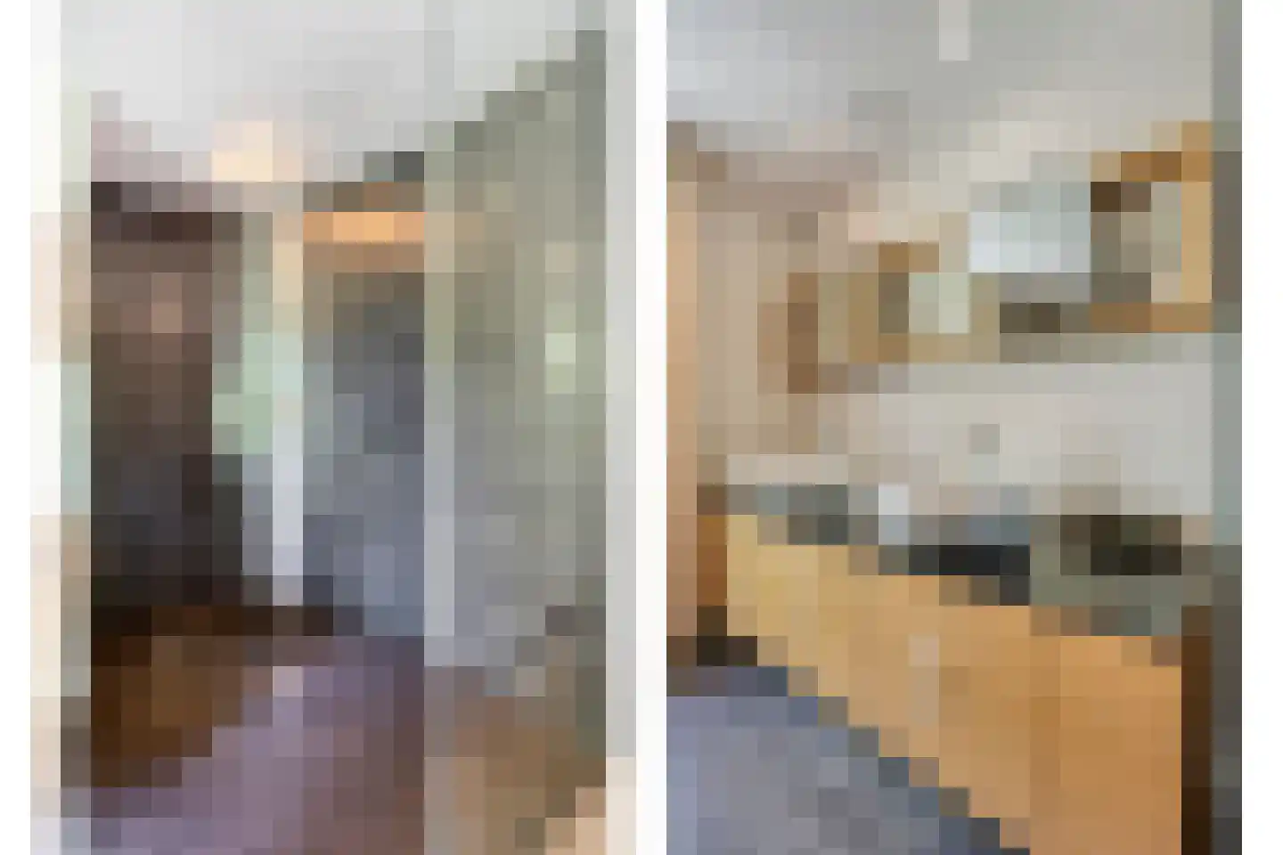 Herptseweg 2 Herpt thumbnail 31