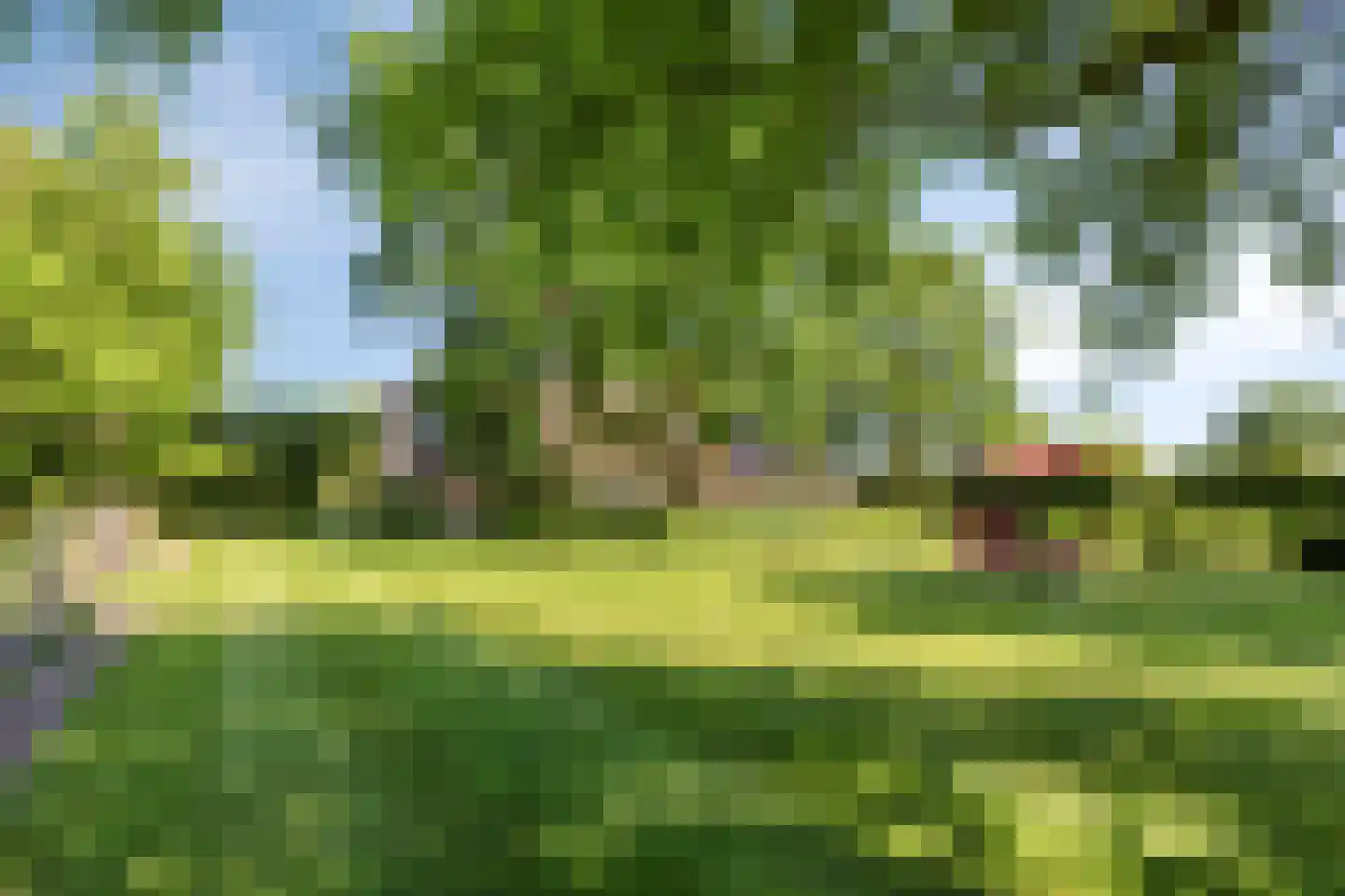 Herptseweg 2 Herpt thumbnail 4