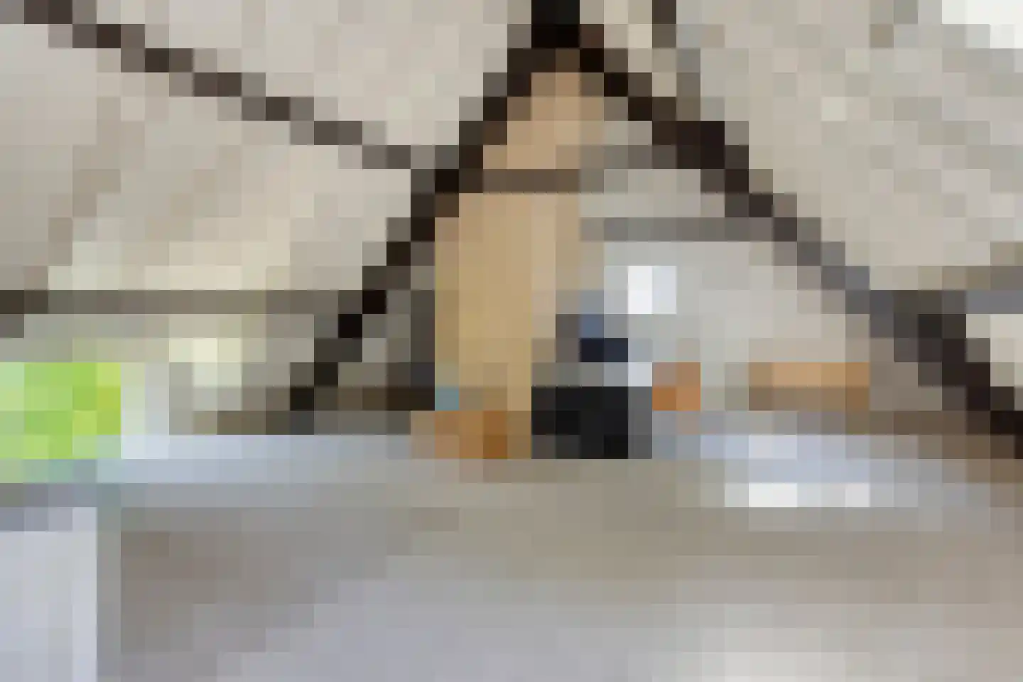 Herptseweg 2 Herpt thumbnail 43