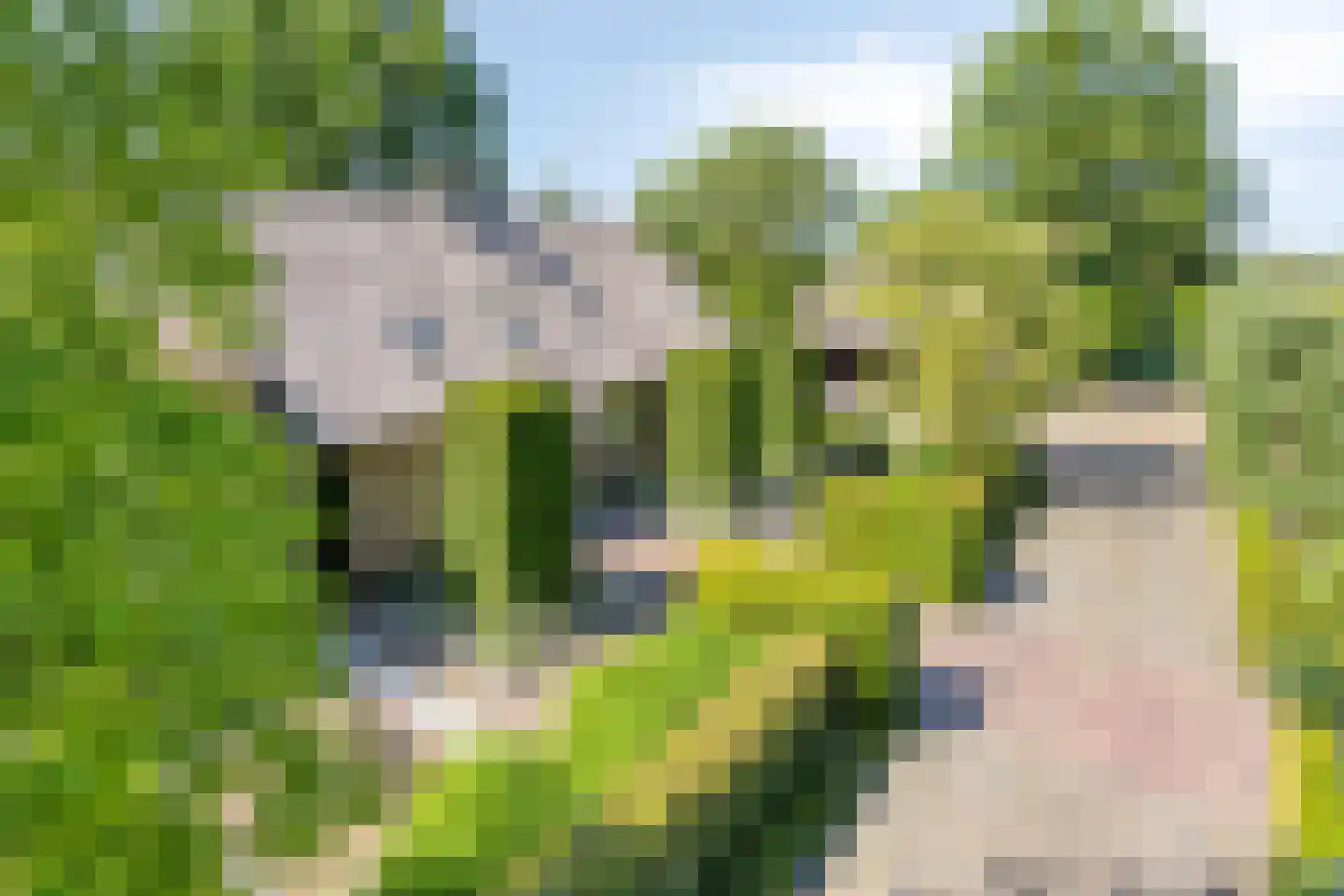 Herptseweg 2 Herpt thumbnail 45