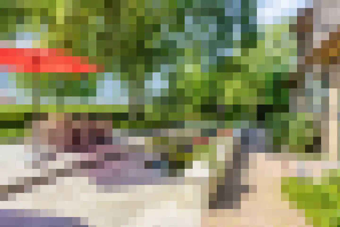 Herptseweg 2 Herpt thumbnail 49