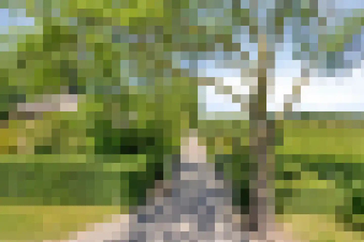Herptseweg 2 Herpt thumbnail 5