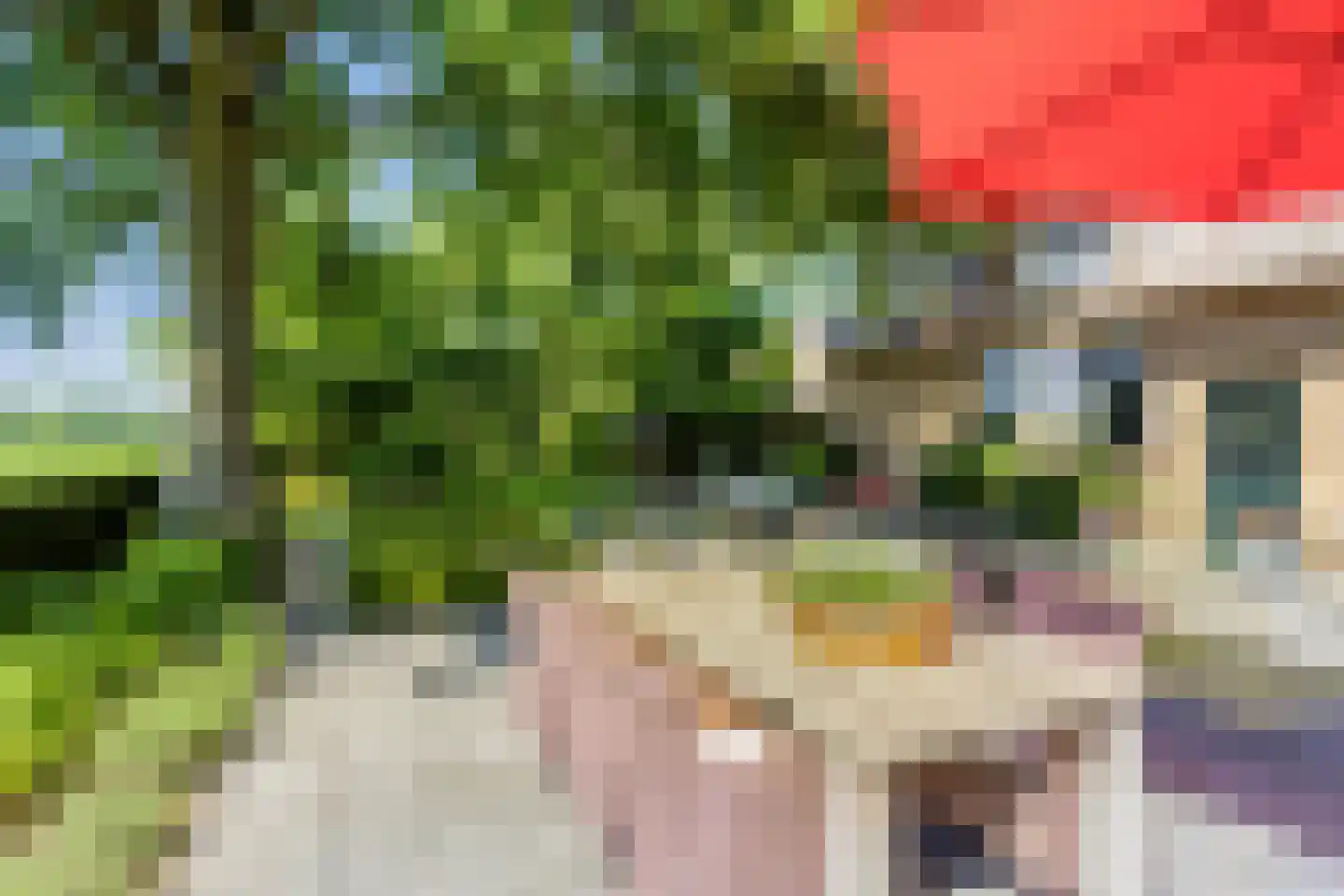 Herptseweg 2 Herpt thumbnail 50