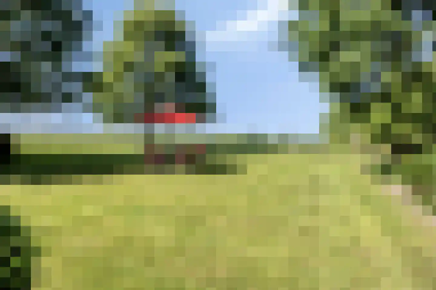 Herptseweg 2 Herpt thumbnail 52