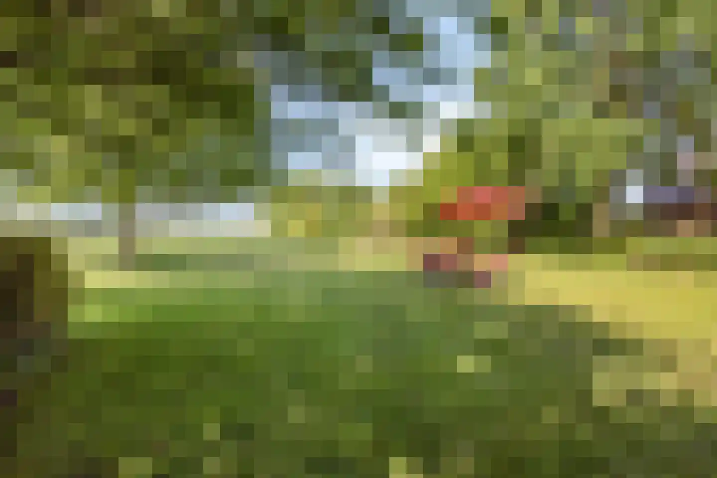 Herptseweg 2 Herpt thumbnail 53