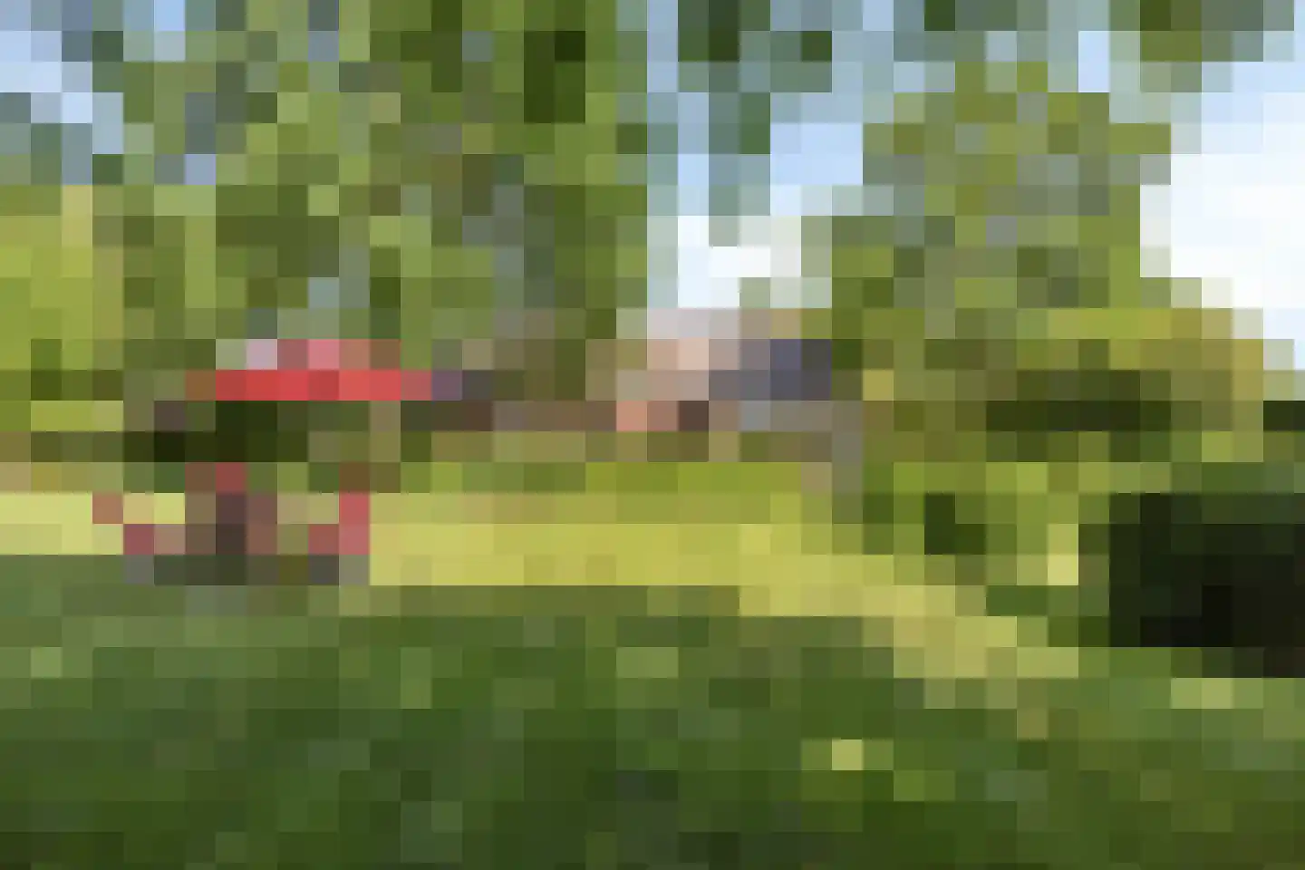 Herptseweg 2 Herpt thumbnail 54
