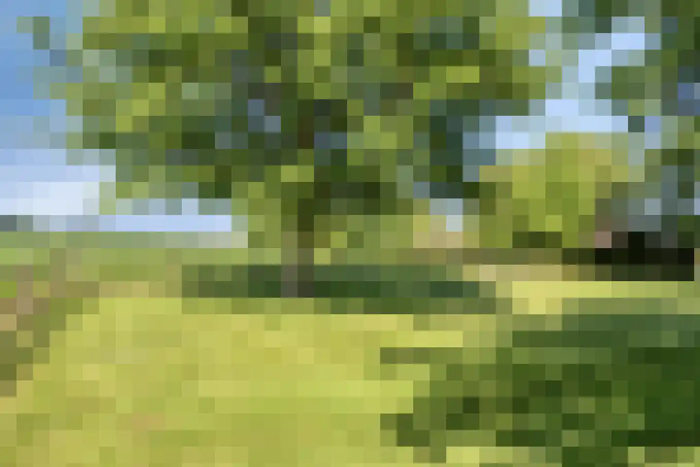 Herptseweg 2 Herpt thumbnail 55