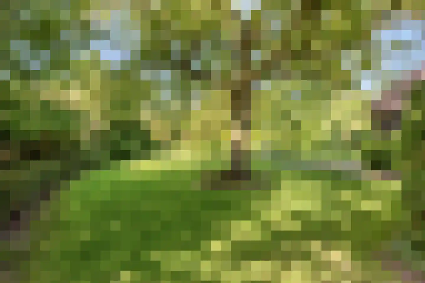 Herptseweg 2 Herpt thumbnail 57