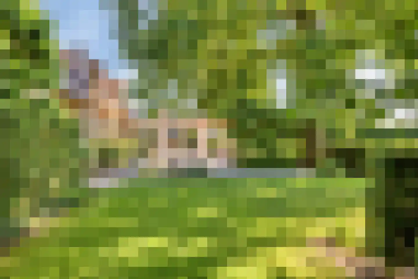 Herptseweg 2 Herpt thumbnail 58