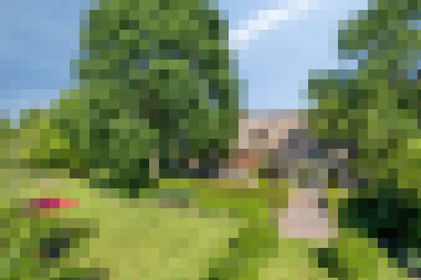 Herptseweg 2 Herpt thumbnail 59