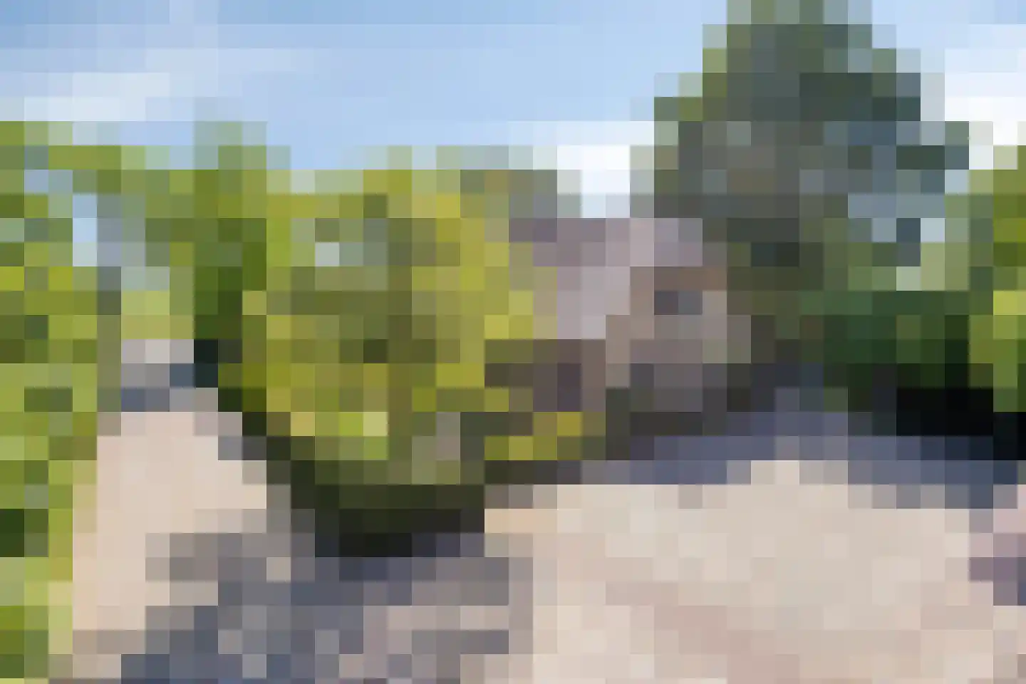Herptseweg 2 Herpt thumbnail 6