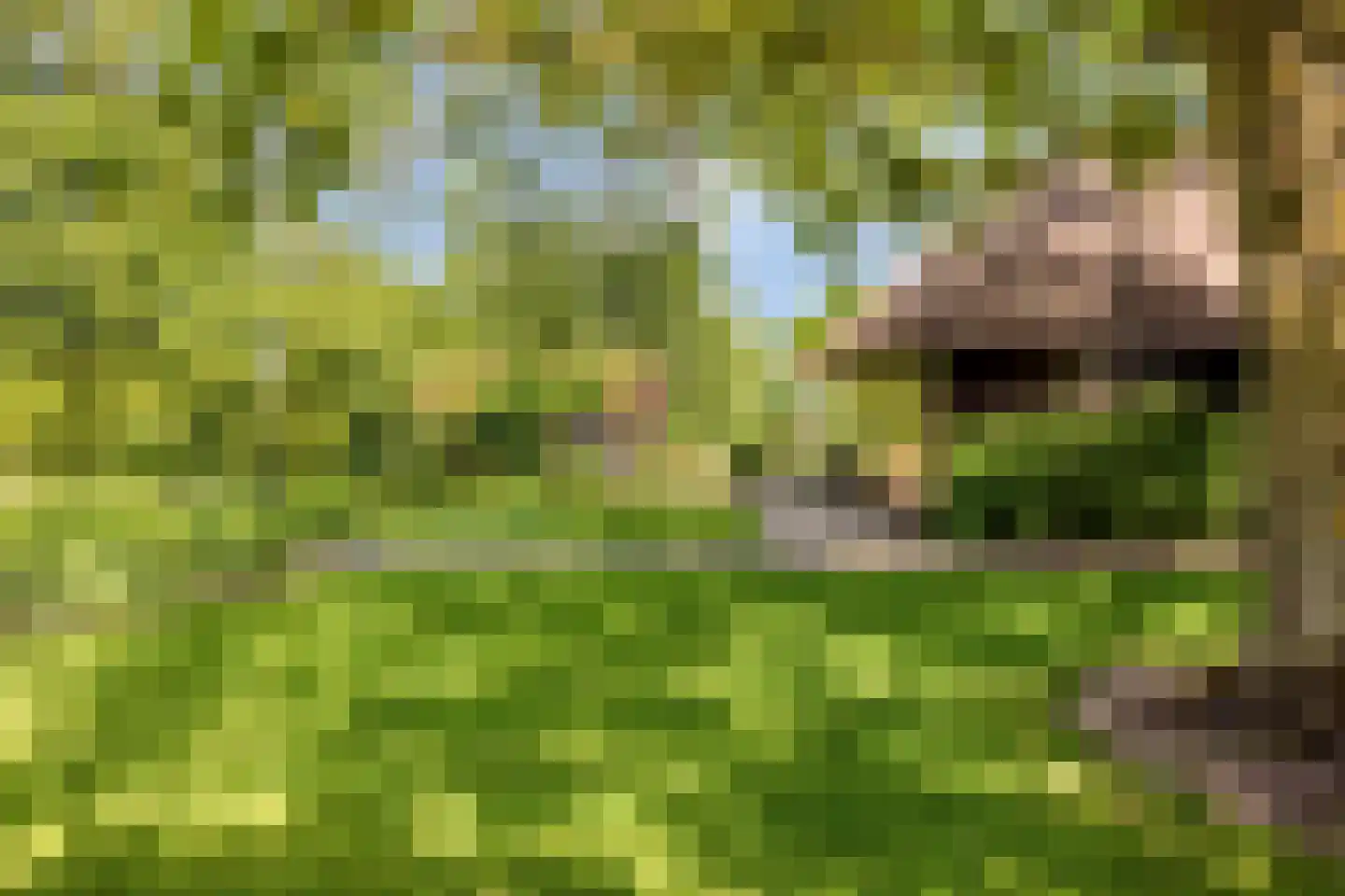 Herptseweg 2 Herpt thumbnail 60