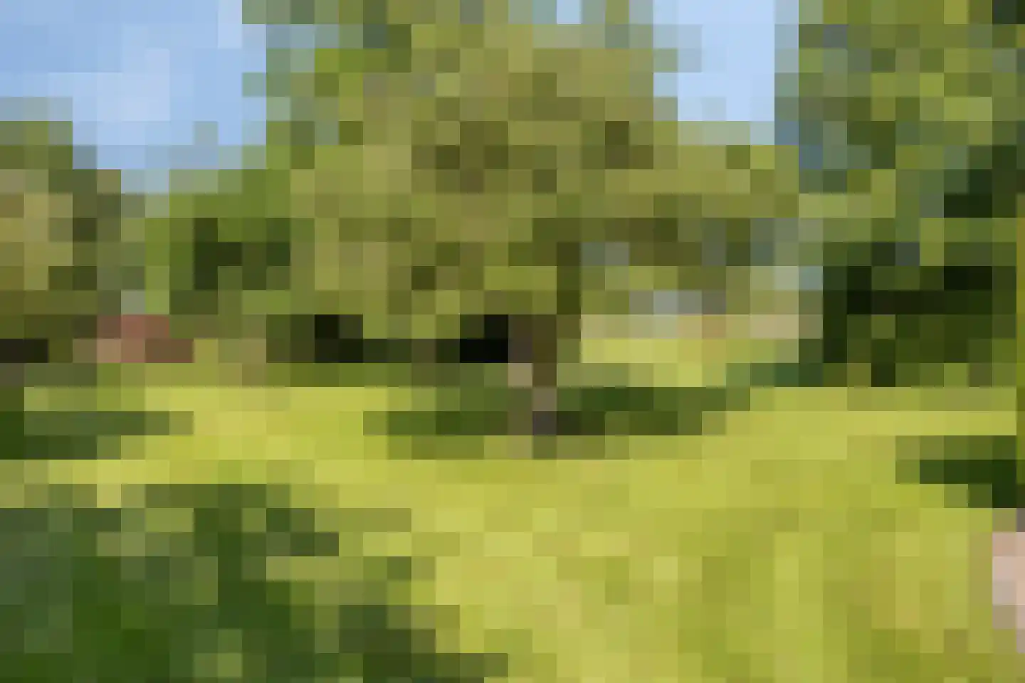 Herptseweg 2 Herpt thumbnail 61