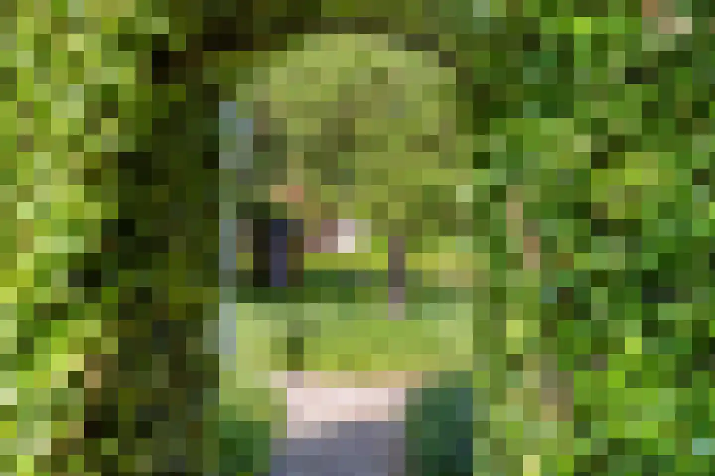 Herptseweg 2 Herpt thumbnail 64