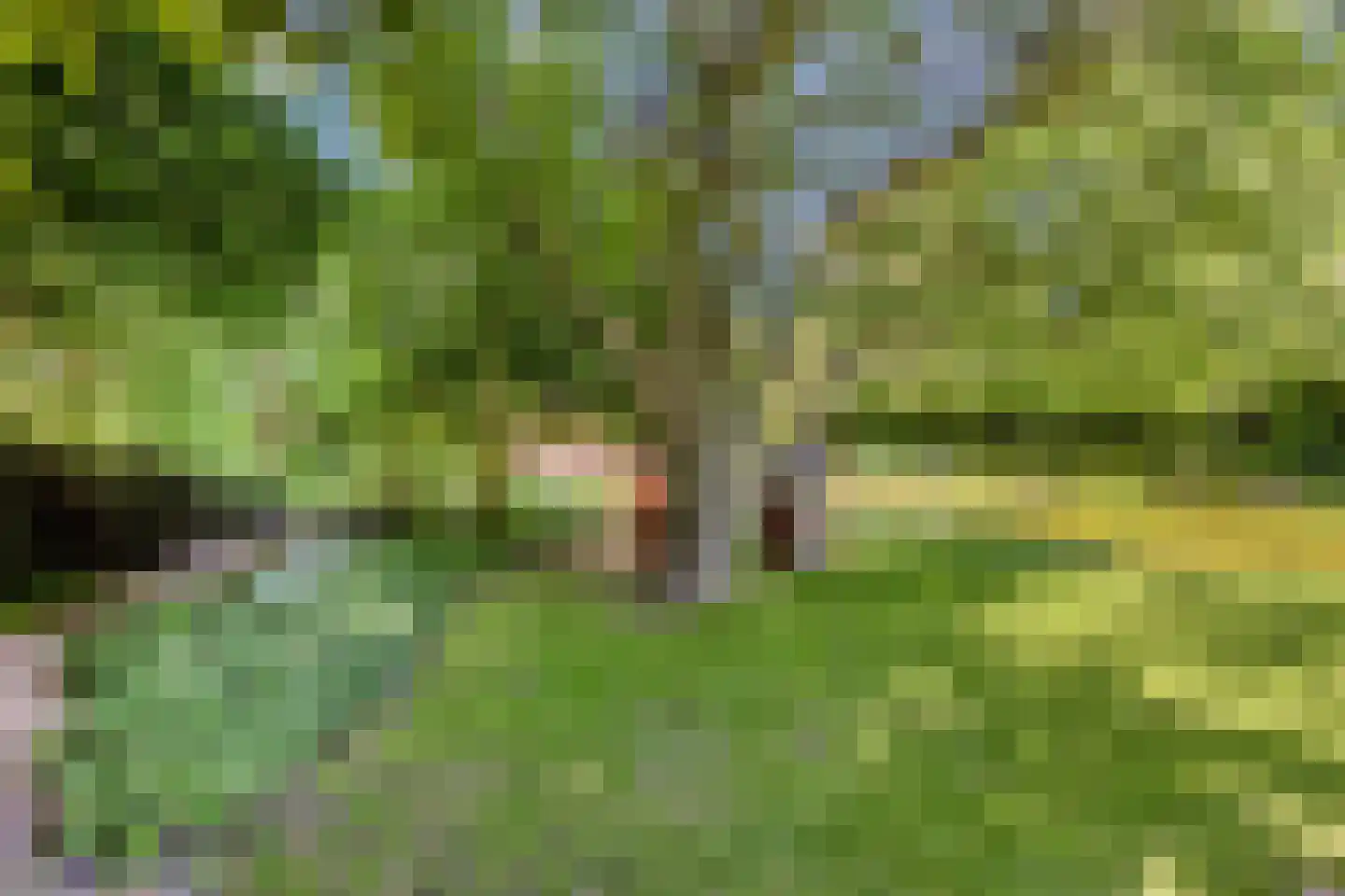 Herptseweg 2 Herpt thumbnail 65