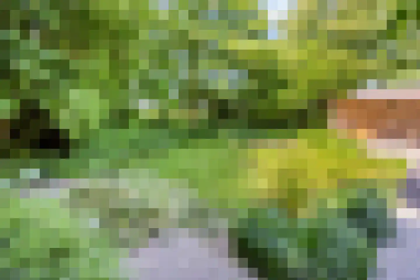Herptseweg 2 Herpt thumbnail 66