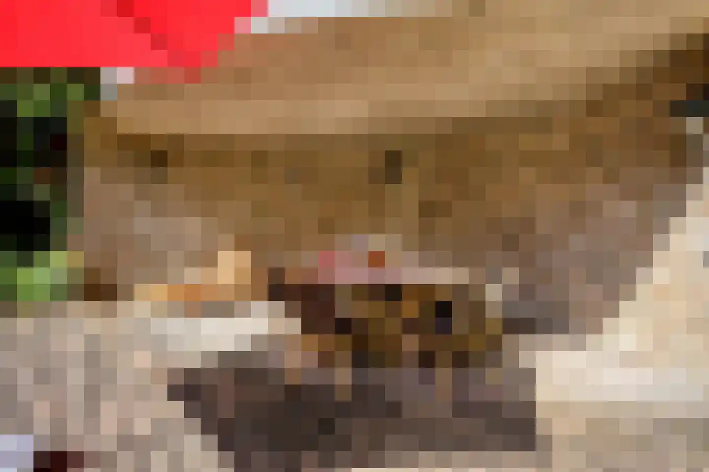 Herptseweg 2 Herpt thumbnail 68