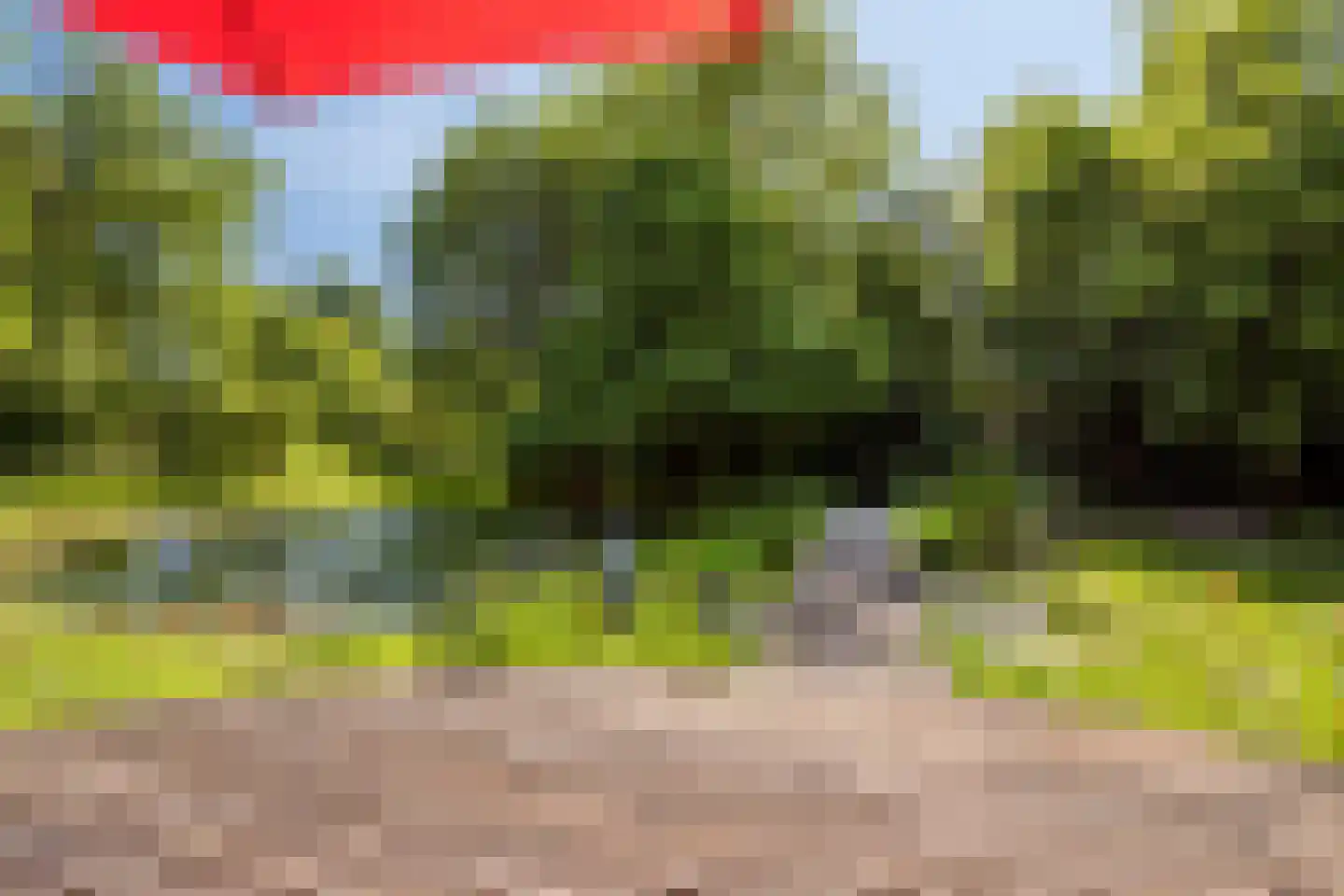 Herptseweg 2 Herpt thumbnail 69