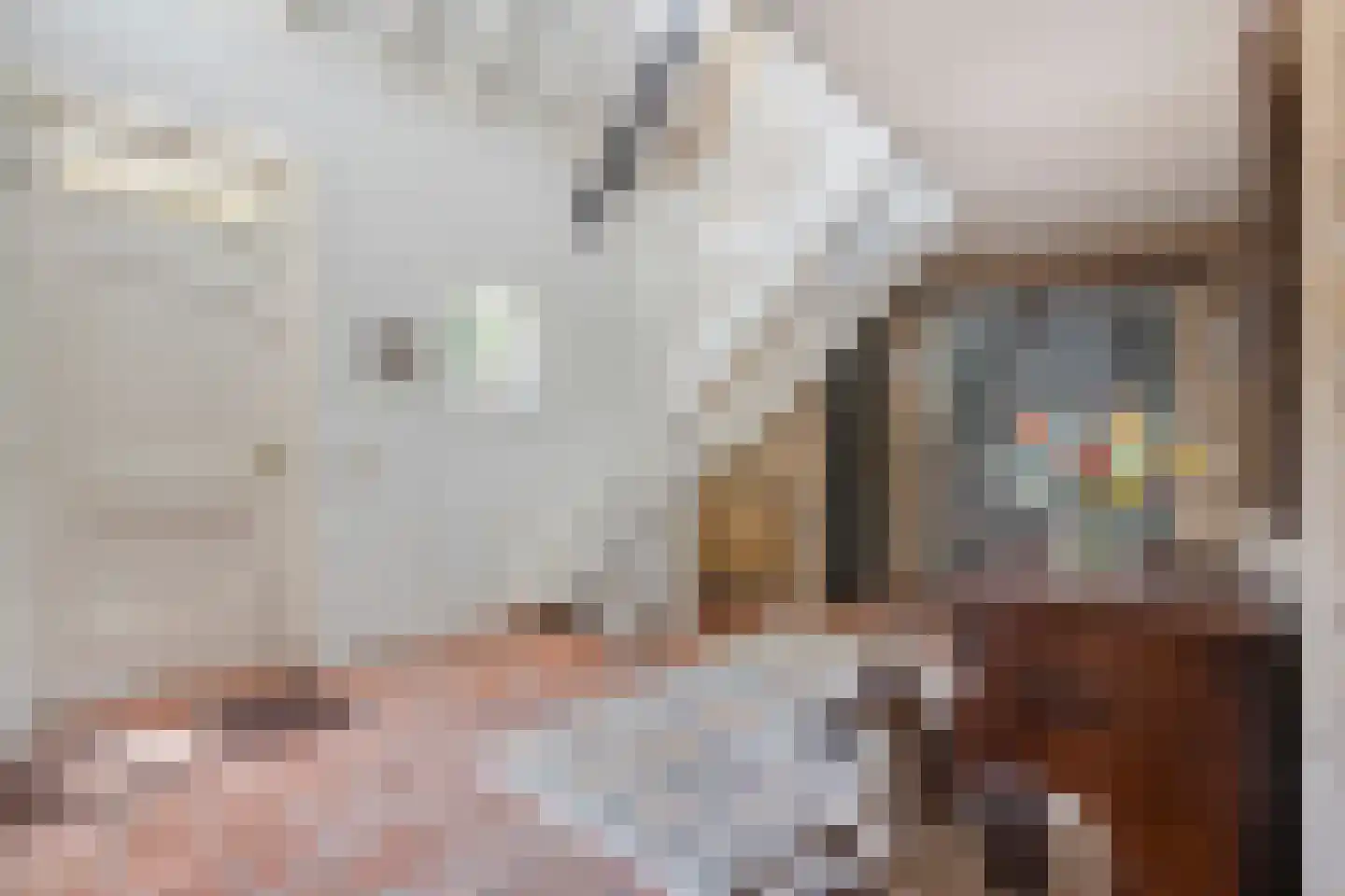 Herptseweg 2 Herpt thumbnail 7