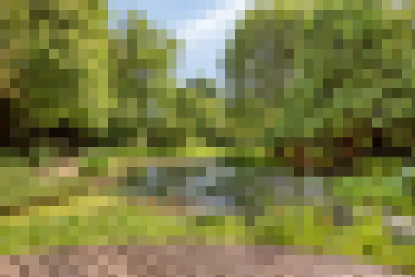 Herptseweg 2 Herpt thumbnail 70