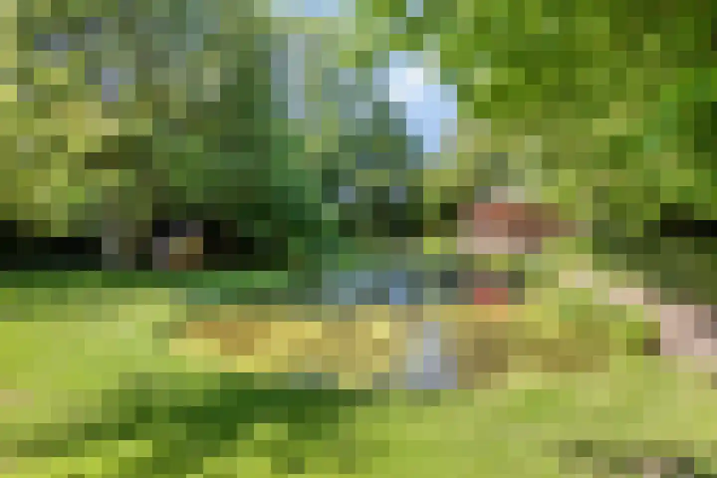 Herptseweg 2 Herpt thumbnail 71