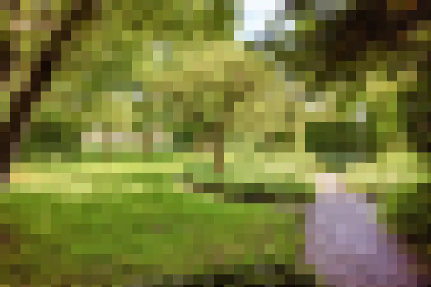 Herptseweg 2 Herpt thumbnail 72