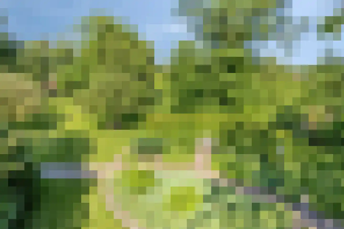 Herptseweg 2 Herpt thumbnail 73