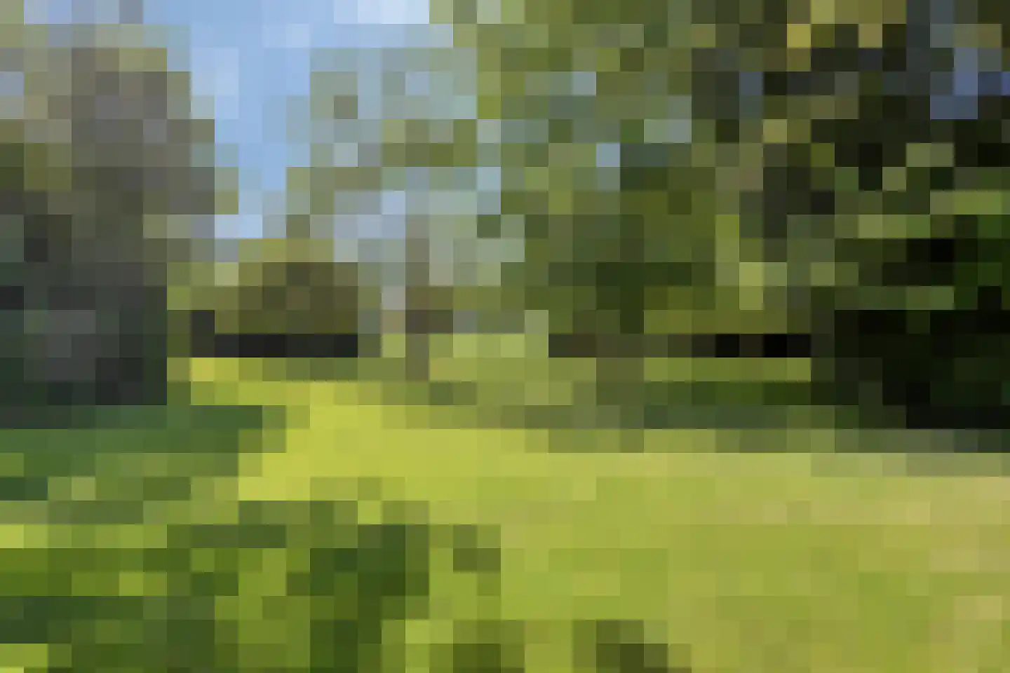 Herptseweg 2 Herpt thumbnail 74