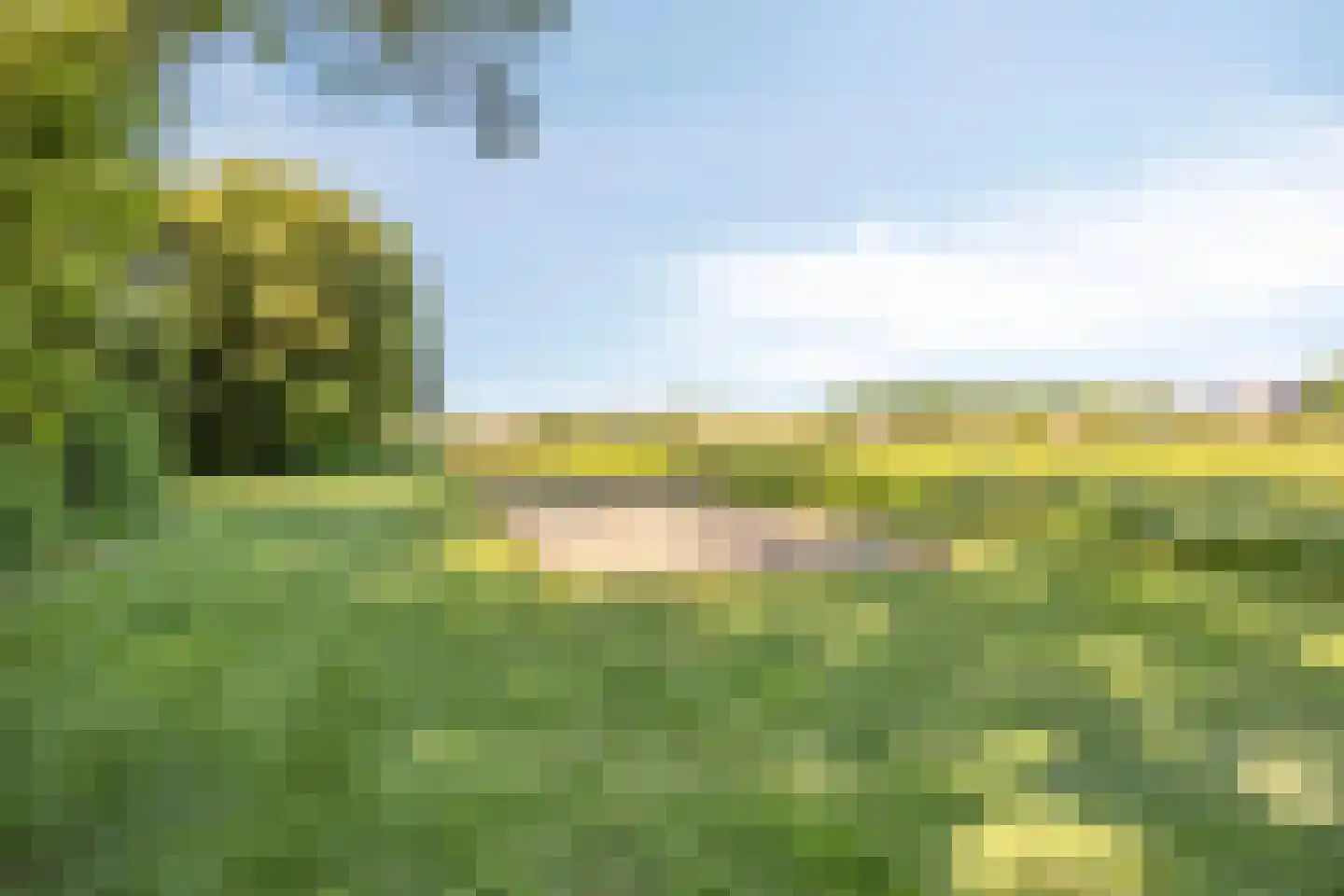 Herptseweg 2 Herpt thumbnail 75