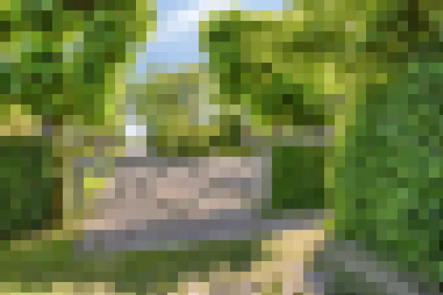 Herptseweg 2 Herpt thumbnail 76
