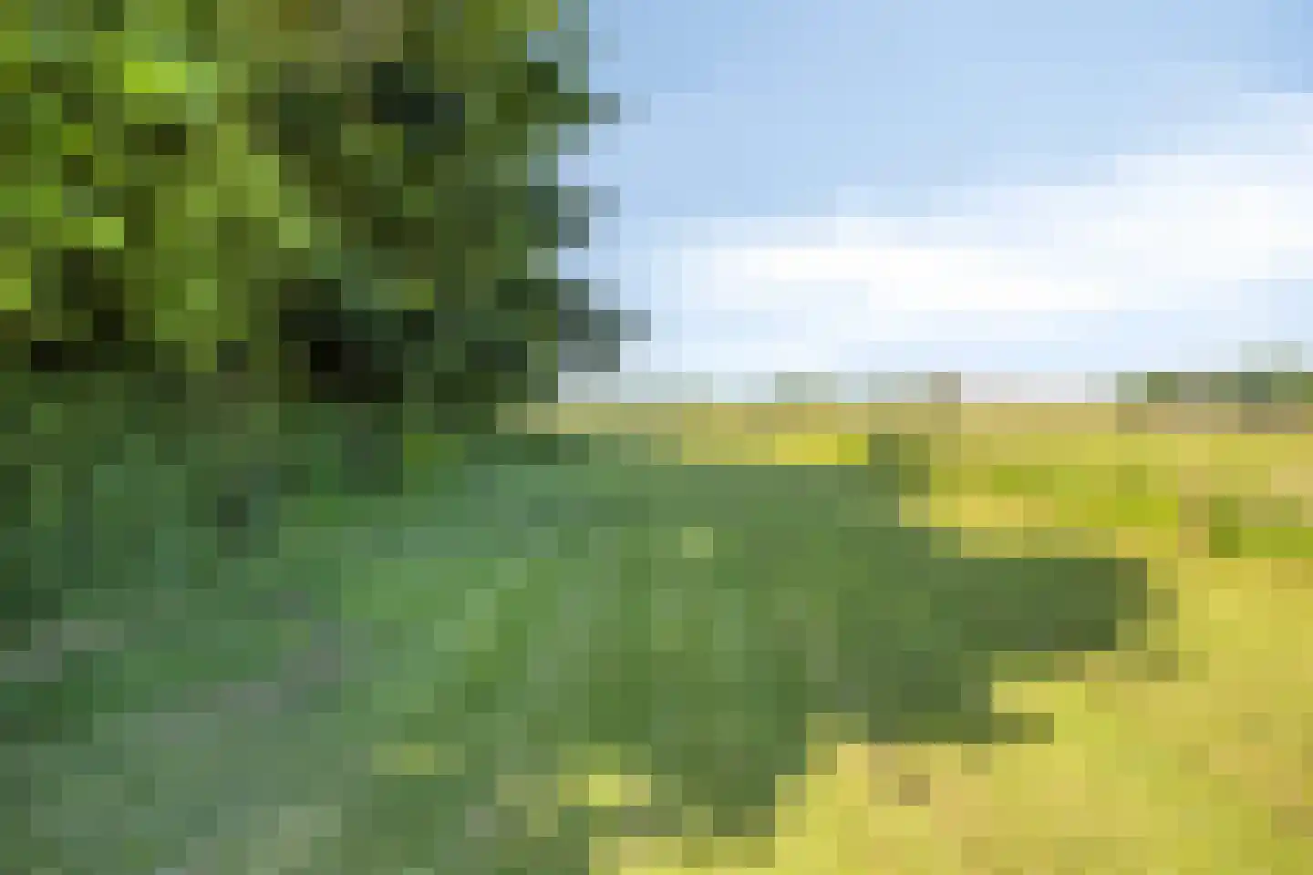 Herptseweg 2 Herpt thumbnail 77