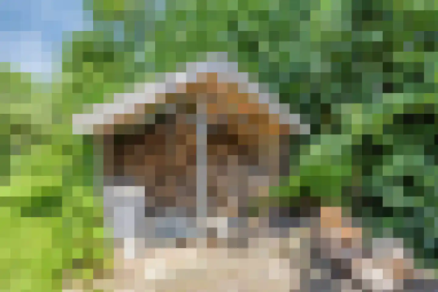 Herptseweg 2 Herpt thumbnail 79