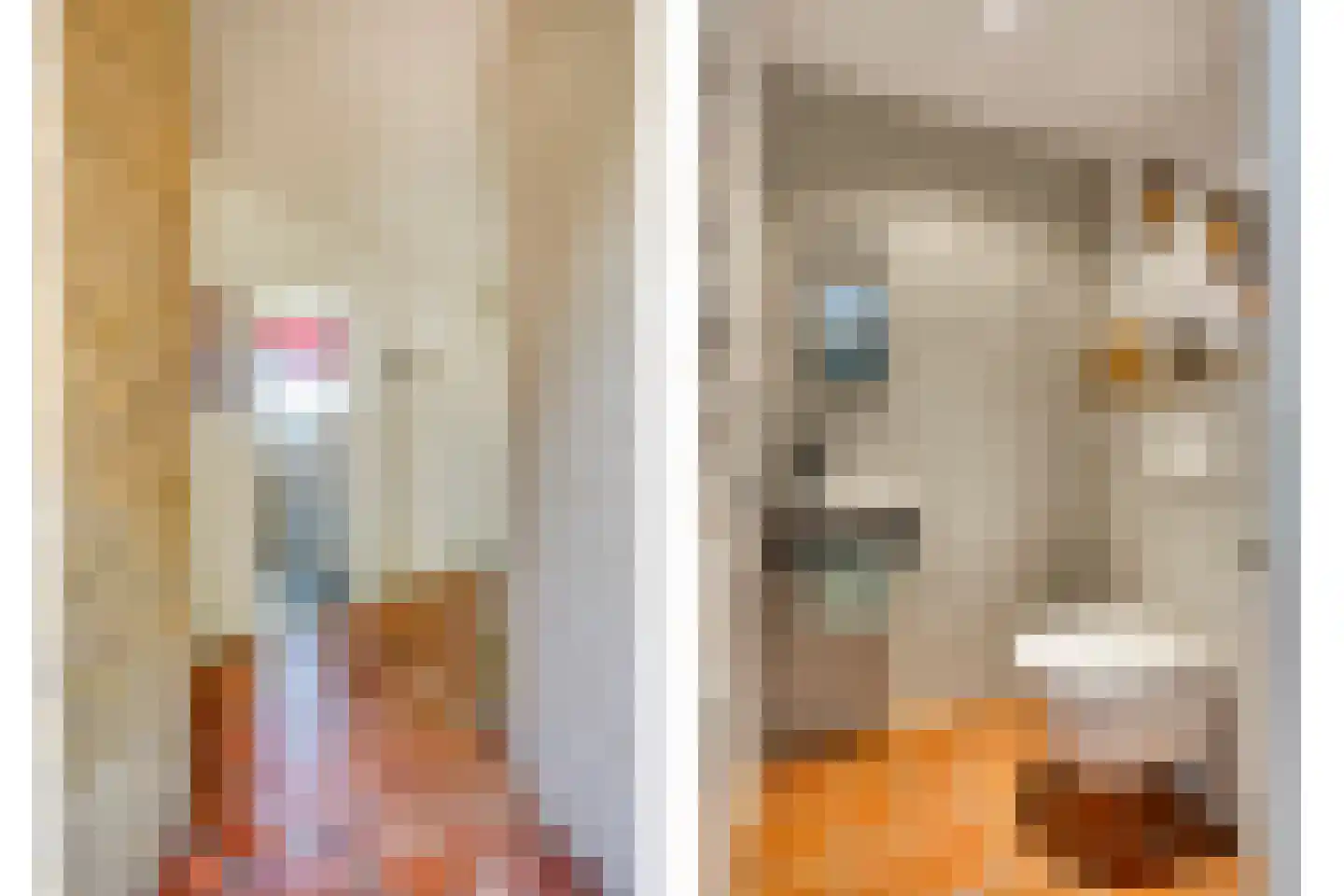 Herptseweg 2 Herpt thumbnail 8