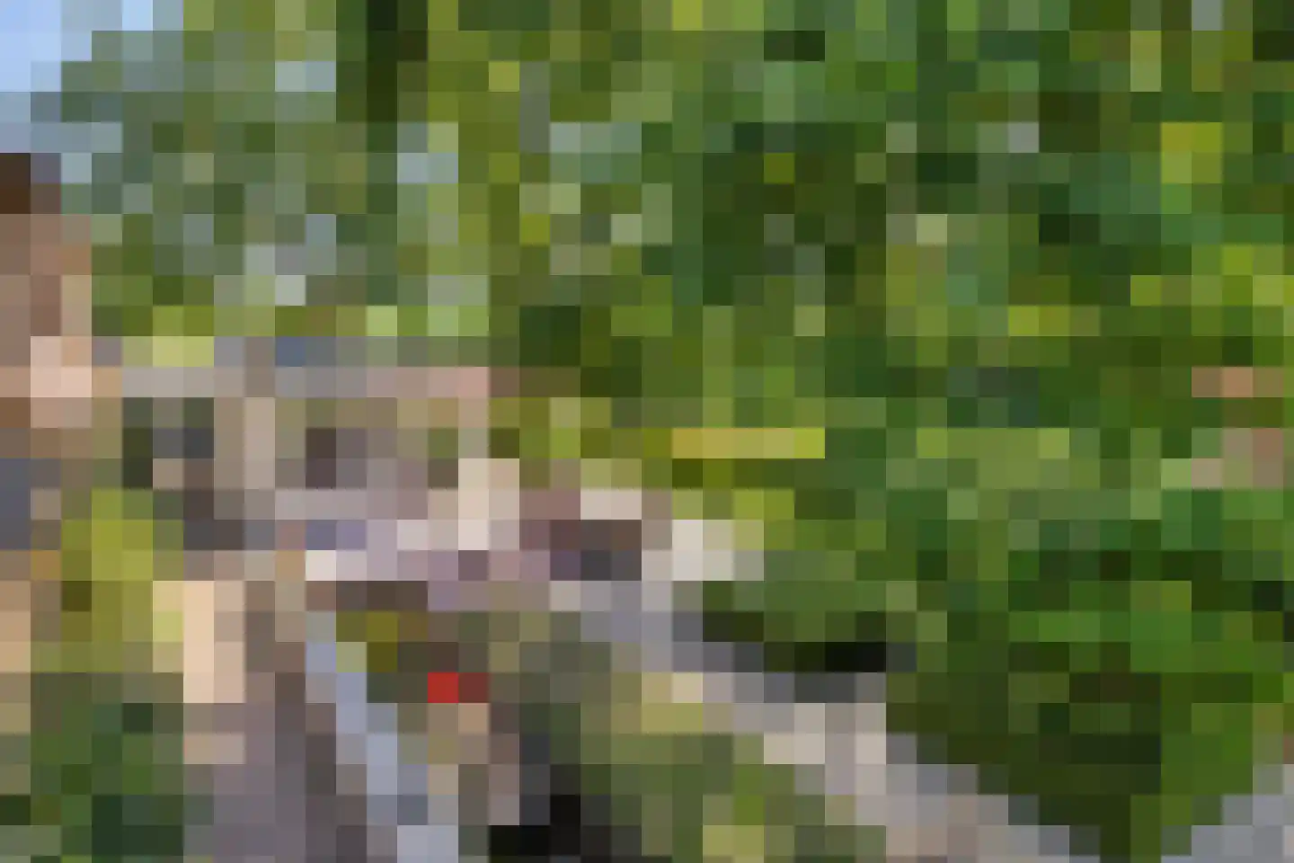 Herptseweg 2 Herpt thumbnail 80