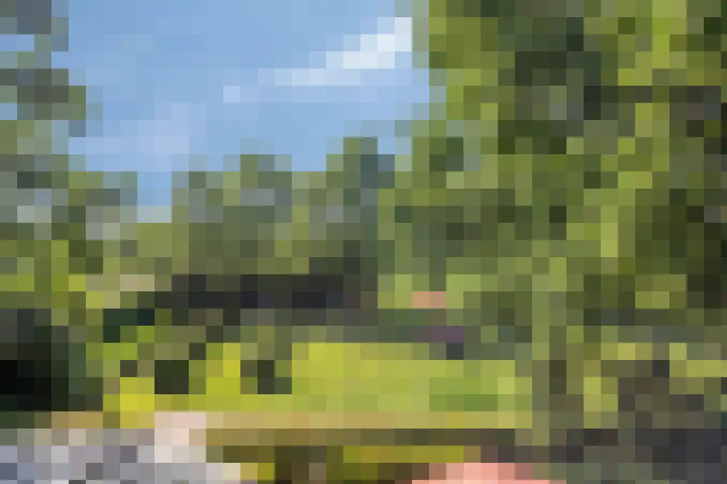 Herptseweg 2 Herpt thumbnail 81