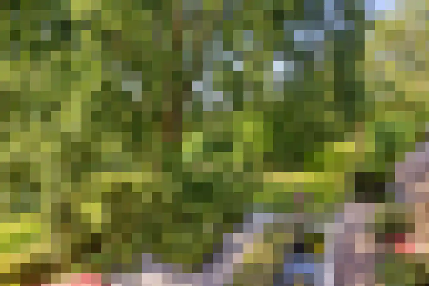 Herptseweg 2 Herpt thumbnail 82