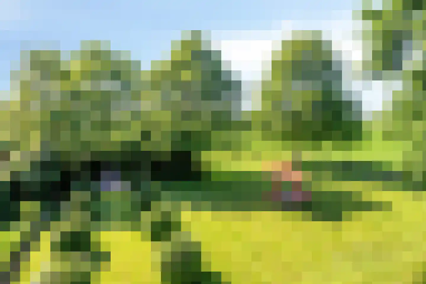 Herptseweg 2 Herpt thumbnail 83
